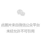 东莞发力！新增总质量4.5吨以下物流配送车辆必须是新能源汽车！(图1)